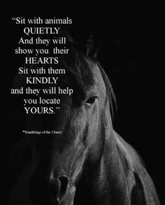 a black and white photo with a horse in the background that says, sit with animals quietly and they will show you their hearts