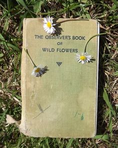 the observer's book of wild flowers is laying in the grass with daisies on it