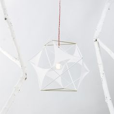 an ornament hanging from a tree branch in front of a white sky background