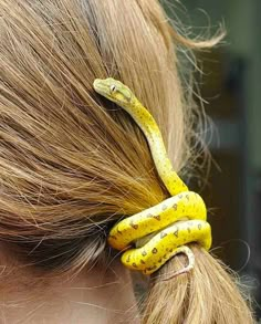 a woman with a yellow snake wrapped around her head and braided into a ponytail