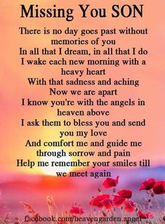 a poem that reads missing you son with red flowers in the foreground and an orange sky