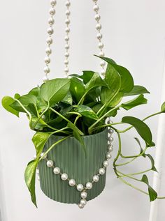 a potted plant with pearls hanging from it's side on a white wall