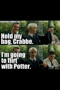 harry potter and hermiel are talking to each other in front of trees with the caption hold my bag, crabbe i'm going to flirt with potter