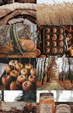 a collage of photos with pumpkins, apples and other things in the background