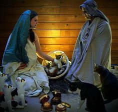 two women in robes with cats on the floor next to a basket full of kittens