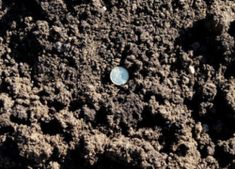 the ground is covered with dirt and small blue plastic bottles are on top of it