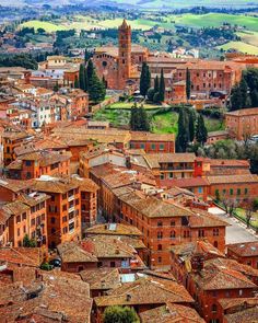 an aerial view of the city with many old buildings and trees in the foreground