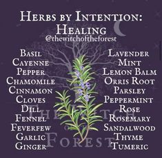 herbs by intention poster with the names of different herbs and their meaningss on it