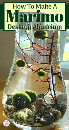 a vase filled with plants and rocks on top of a table