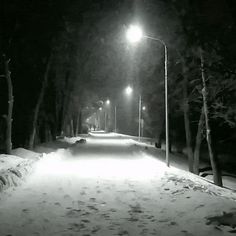 a snow covered road with street lights and trees on both sides at night in the winter