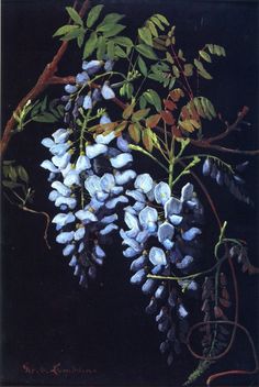 an oil painting of blue flowers on a branch with green leaves and brown stems against a black background