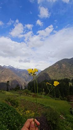 a hand holding a flower in the middle of a field with mountains in the background