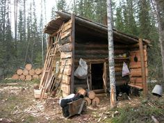 a log cabin in the woods with logs stacked around it and two dogs standing outside