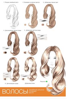 the different types of hair are shown in this graphic style, including long and medium - length