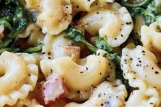 pasta with ham, asparagus and spinach in a white sauce on a plate