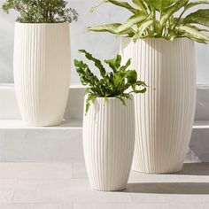 three large white vases with plants in them