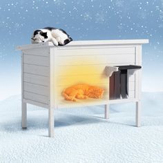 there is a cat that is laying on top of a small cabinet in the snow