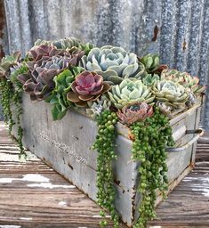 an old metal box filled with succulents on top of a wooden table