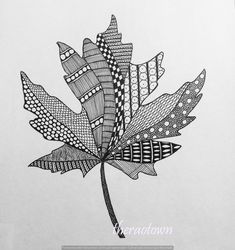 a black and white drawing of a leaf on a sheet of paper with the words drawtown written below it