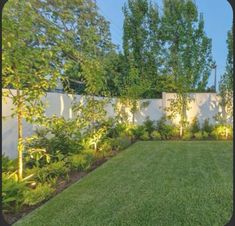 an outdoor area with grass and trees in the back yard, surrounded by white walls