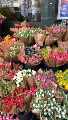 many different colored tulips are on display for sale