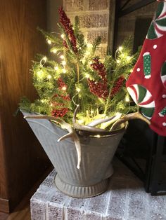 a potted christmas tree with lights in it