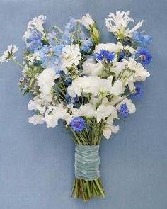 a bouquet of white and blue flowers on a blue background