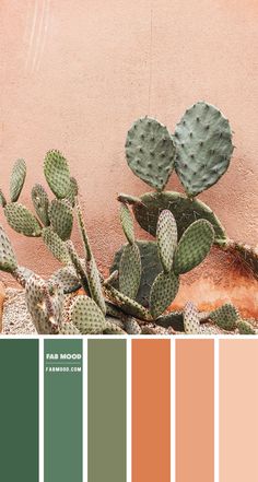 the color palette is peach and green, with some cactuses in front of it