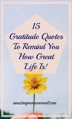 a hand holding a yellow flower with the words 15 gratitude quotes to remind you how great life is