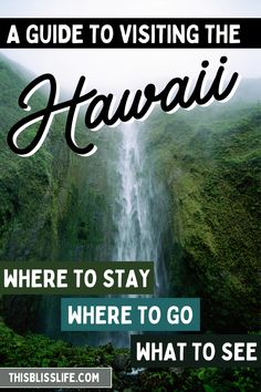 Every time we visit a Hawaiian island we make it a point to try out something new or unusual. Our preference is to go off the beaten path or to try a lesser-known tour that isn’t packed with tourists. Here are four unique activities on the Big Island of Hawaii! The Big Island, Off The Beaten Path, Hawaii Island, Go Off, Hawaiian Islands