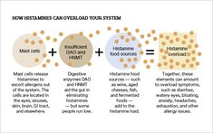 Antihistamine Foods, Chronic Hives, High Histamine Foods, Alpha Gal, Blood Work