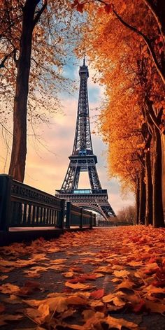 the eiffel tower is surrounded by trees with leaves on the ground in front of it