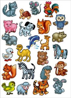 a bunch of different animals that are grouped together