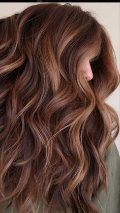 Auburn Brown Highlights In Brown Hair, Summer Hair Color For Long Hair, Copper Cowgirl Hair Brunette, Brown Hair Balayage Cinnamon, Red Toned Highlights Brown Hair, Brown And Amber Hair, Red Brown Caramel Hair, Red Tone Brunette Hair, Hair Color Ideas For Brunettes Auburn