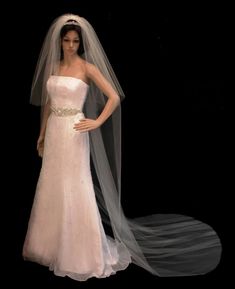 a woman wearing a wedding dress and veil