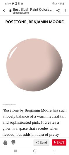 an image of the same color as it appears to be in this ad for rosetonee