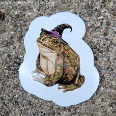 a frog with a witches hat on it's head is sitting on the ground