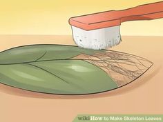 a brush is being used to clean a green leaf with dirt on the ground below