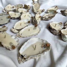 several oysters on a white cloth with some brown and white beads in them,