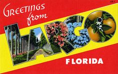 a postcard with the words greetings from lakeland, florida on it's side