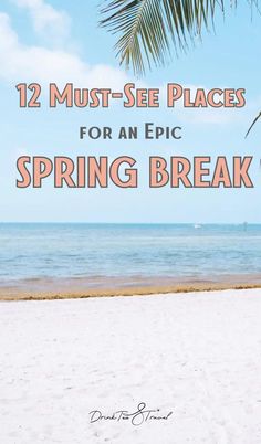 a beach with palm trees and the words 12 must see places for an epic spring break