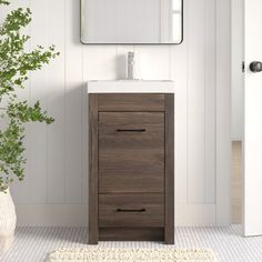 a bathroom vanity with a mirror above it and a plant on the floor next to it