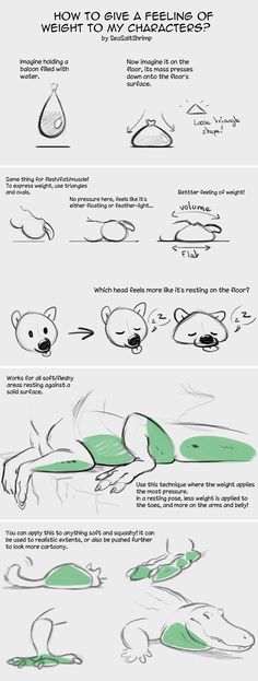 how to draw a cartoon bear with simple lines and shapes for the head, neck and chest