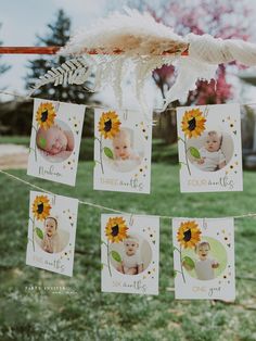 baby pictures hung on a clothes line with feathers hanging from it's sides and sunflowers in the background