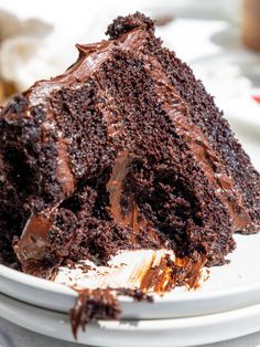 a piece of chocolate cake on a white plate