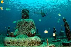 two people swimming in the water near a statue and other underwater objects with fish around them