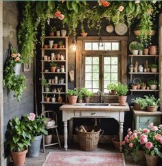 a room filled with lots of potted plants next to a sink and shelves full of pots