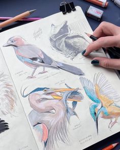 a drawing book with birds drawn on it and colored pencils next to it, surrounded by other art supplies