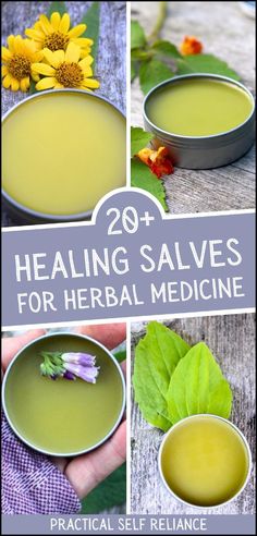 Embrace the natural remedies of nature with over 20 healing salve recipes. Each herbalism recipe utilizes herbs for health, offering natural remedies for various ailments. This collection is a perfect introduction to herbalism, guiding you step by step to create your own medicinal salves from a diverse range of plants and flowers. Find more Natural Herbs Medicine at Practical Self Reliance. Homemade Salve Recipes, Homemade Healing Salve, Witches Apothecary, Healing Salve Recipe, Healing Salve, Herbal Salves