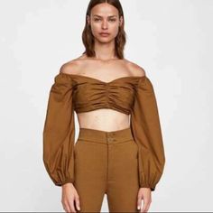 Size Small Never Worn Nwt Chic Brown Crop Top For Fall, Brown Long Sleeve Crop Top For Summer, Chic Brown Crop Top For Spring, Elegant Brown Crop Top For Spring, Elegant Brown Crop Top For Summer, Zara Fitted Brown Tops, Zara Cropped Brown Top, Zara Brown Top For Day Out, Chic Zara Crop Top For Fall